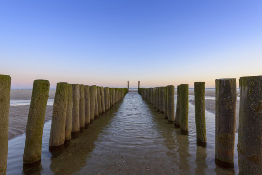 Wooden Breakwater on Beach at Low Tide, Domburg, North Sea, Zeeland, Netherlands