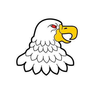 Bald eagle head isolated. Predator bird. Vector illustration
