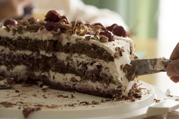Layered chocolate cake