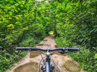 Fototapeta na wymiar MTB bicycle on the trail in the summer season