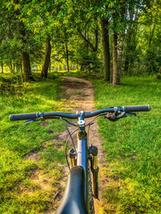 Fototapeta premium MTB bicycle on the trail in the summer season