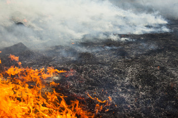 Big fire in the field.