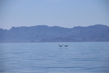 Obraz premium Loreto Bay Baja California Sur, Sea of Cortez