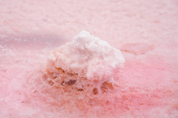 Piece of salt in the pink lake