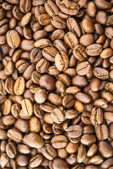 Coffee beans texture brown background