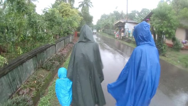 Family in raincoat walking under tropical downpour in Ceylon slow motion