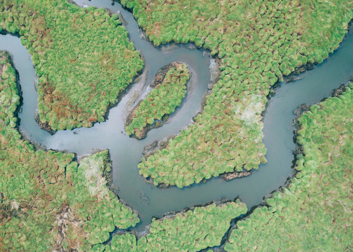 River aerial view