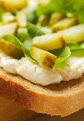 

Cream cheese, pickles and rucolla sandwich, close up