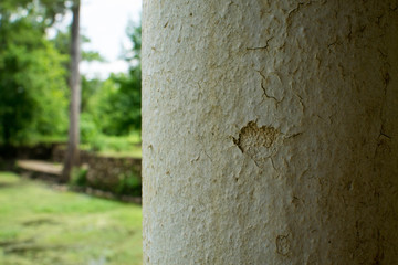 Chipped paint on pillar