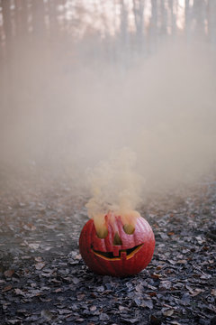 Spooky pumpkin with smoke in garden