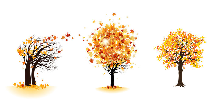 Fall trees set
