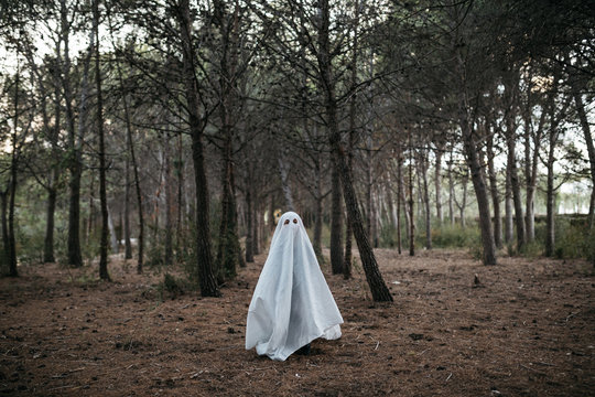 Child in ghost costume