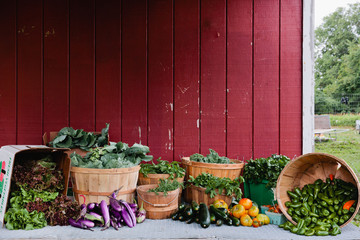 Organic Assorted Vegetables at Farm Stand