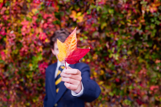 Fall colors on the way to school in autumn