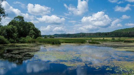 Ukrainian landscapes, lake, forest