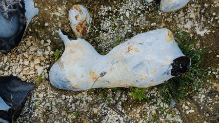 Obraz premium Silicon stones on the ground