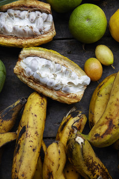 Tropical treasure / Ecuador