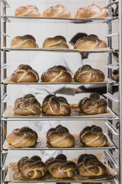 Trays with fresh baked loafs of bread