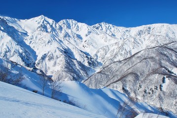 Fototapeta na wymiar Hakuba / Nagano ~ winter season