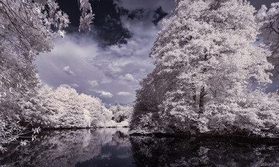 infrared photography - ir photo of landscape under sky with clouds - the art of our world in the...