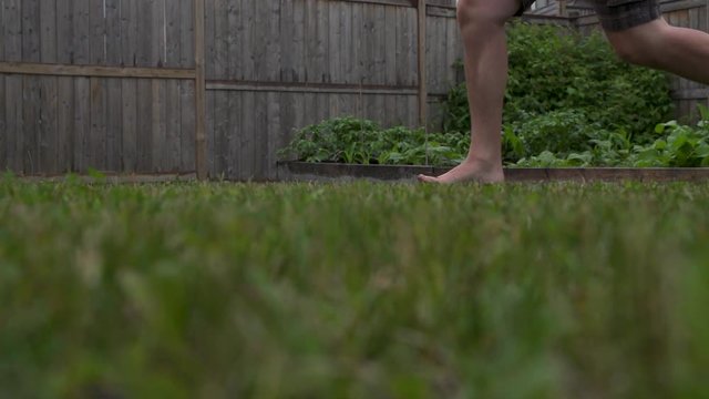 A young, 10 week old Golden Retriever chases a man around a suburban backyard. Slow motion. HD 1080p.
