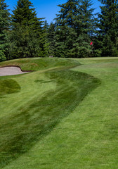 Sunny day on golf course, fairway, rough, sand trap, and putting green with red flag, evergreen trees and blue sky in background
