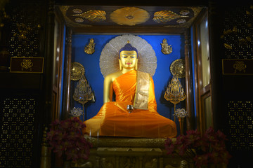  Beautiful Buddha statues in Mahabodhi Stupa Bodh Gaya Sculpture of Buddha Enlightenment under...