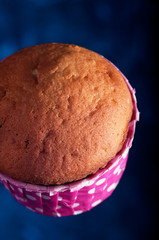 Delicious cupcakes in a beautiful, festive paper form.