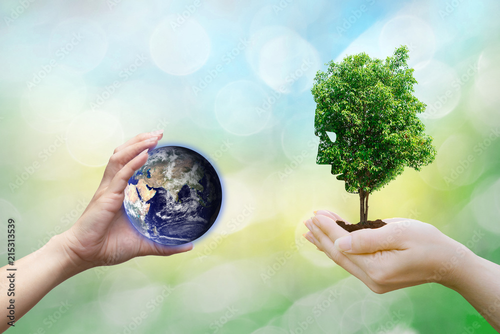 Wall mural Ecology concept human hands holding big plant face tree look world environment,Earth image provided by Nasa.