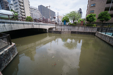 Fototapeta premium 大横川親水公園