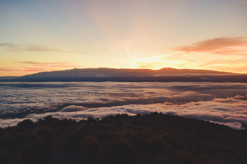 Fototapeta premium Atardecer