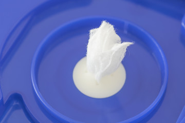 ウェットティッシュの接写