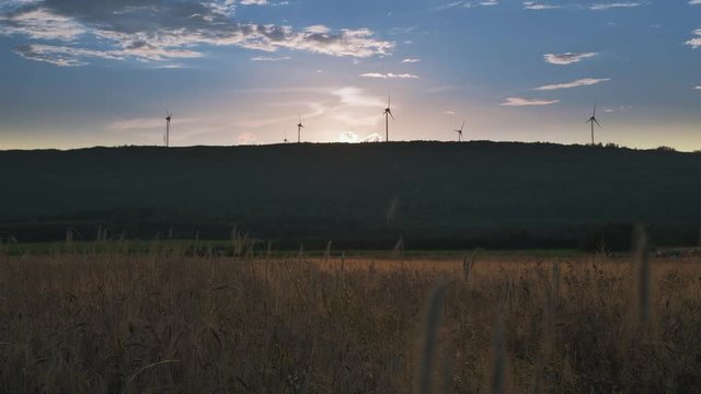 Wind energy turbines silhouette at sunset, renewable electric energy source near wheat field. Beautiful background image taken at sunset in 4K UHD