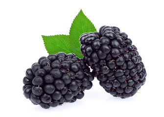 fresh blackberry with green leaf isolated on white background