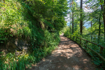 Wanderweg im Kaisertal