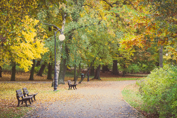 Fototapeta na wymiar Vintage photo, Golden autumn in park in october