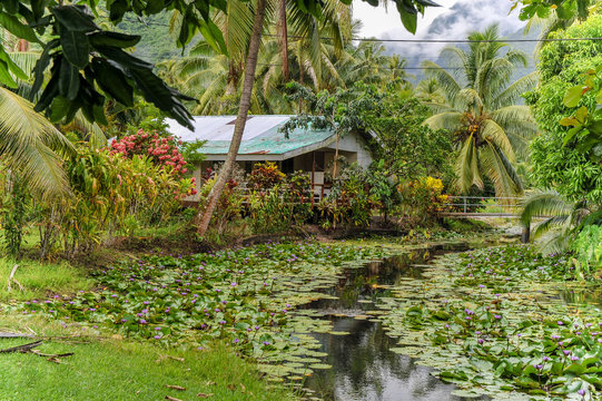 Teahupoo Tahiti