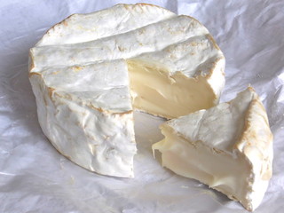 camembert