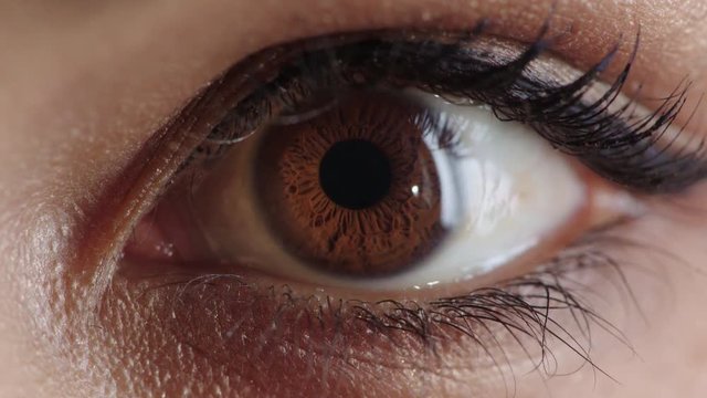 close up woman eye opening surprised wearing makeup looking amazed shocked mascara cosmetics feminine beauty