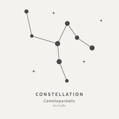 The Constellation Of Camelopardalis. The Giraffe - linear icon. Vector illustration of the concept of astronomy.