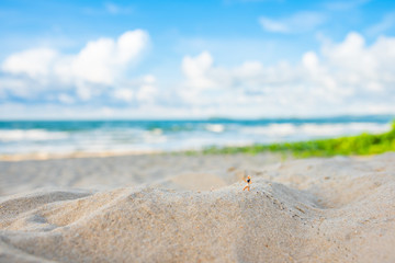 image of runner on sand beach.