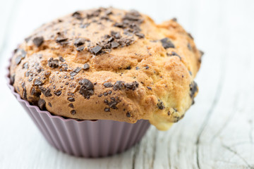 Sweet donuts with ciocolate