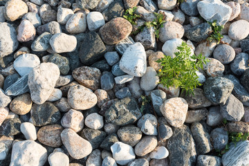 Texture of river stones