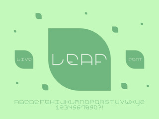 Leaf font. Vector alphabet 