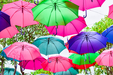 Fototapeta na wymiar umbrella many colors float on the tree.