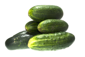 cucumber isolated on white background