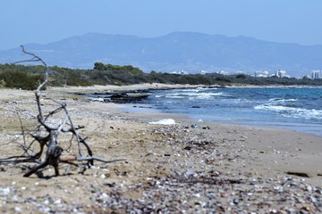 Fototapeta na wymiar long beach Cyprus