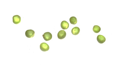 peas isolated on white background
