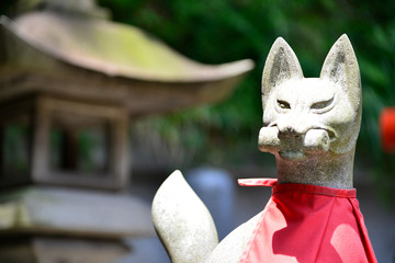 こま狐