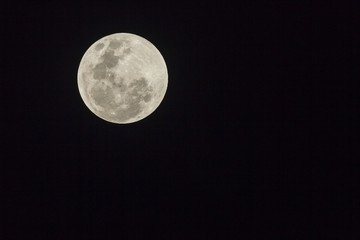 Full Moon Planet Detail Evening Night Sky